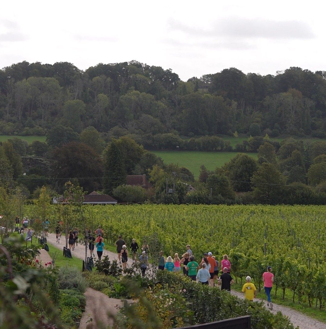 Hambledon Hilly 2026